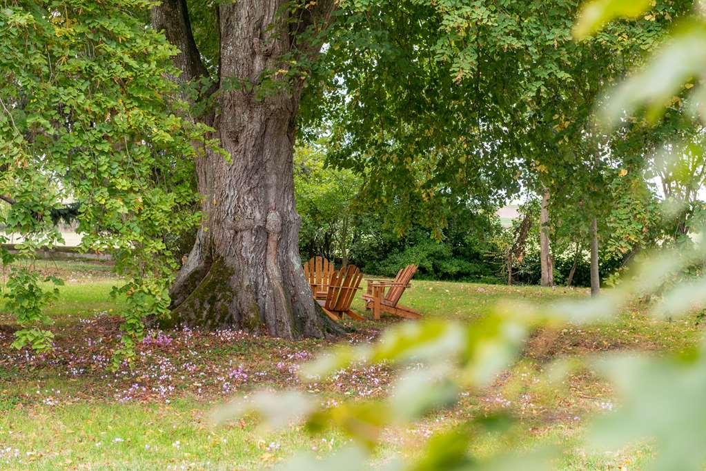 Le Domaine De Mestre, The Originals Relais Fontevraud-l'Abbaye Dış mekan fotoğraf